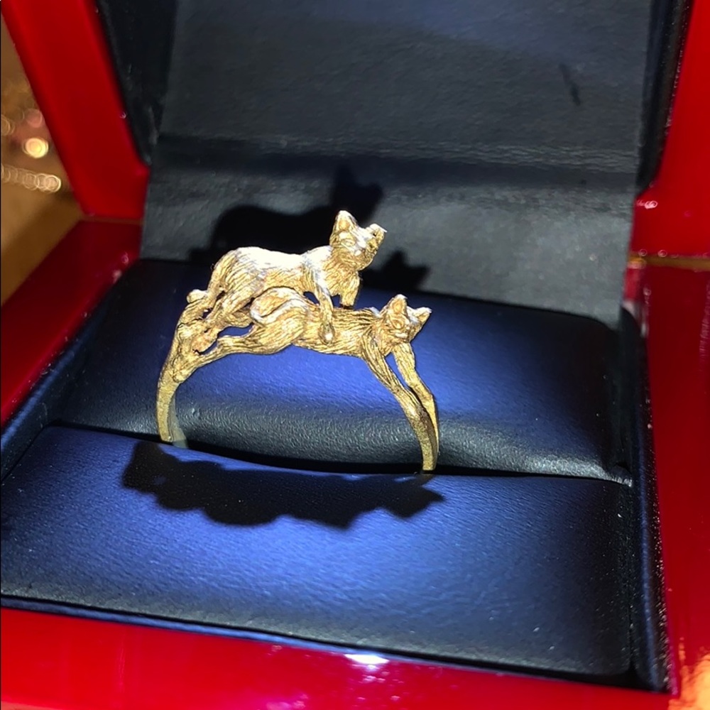 Cat ring